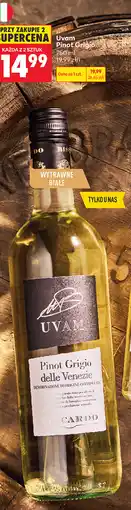 Biedronka Uvam Pinot Grigio oferta