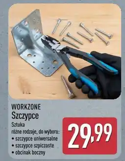 ALDI WORKZONE Szczypce oferta