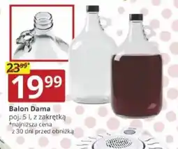 Prymus-AGD Balon Dama oferta