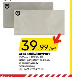 Bricomarche Gres szkliwiony Pure 30x60x0,7 cm oferta