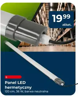 Mrówka Panel led Barwa oferta