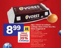 Hitpol Jajka kurze z chowu na wolnym wybiegu Ovo-Res oferta