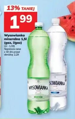 Hitpol Woda mineralna gazowana Wysowianka oferta
