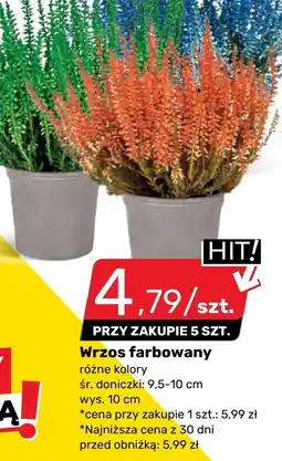 Bricomarche Wrzos Hit oferta