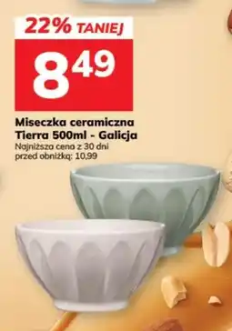Hitpol Miseczka ceramiczna Tierra 500 ml Galicja oferta