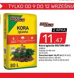 Bricomarche Kora iglasta GO/ON! oferta