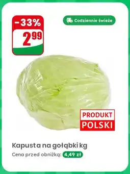 Dino Kapusta na gołąbki oferta