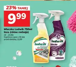 Hitpol Mleczko Ludwik do kuchni oferta