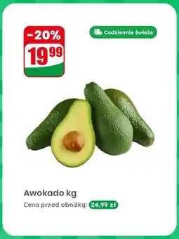 Dino Awokado oferta