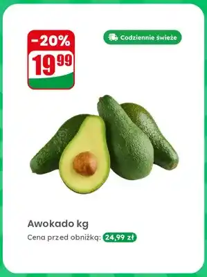 Dino Awokado oferta