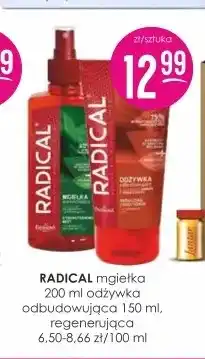 Jaśmin Mgiełka do włosów Radical oferta