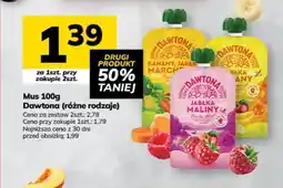 Hitpol Mus Dawtona jabłka maliny oferta