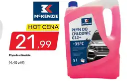Bricomarche Płyn do chłodnic McKenzie oferta