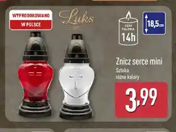 ALDI Znicz serce mini Luks oferta