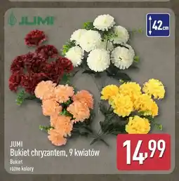 ALDI Bukiet chryzantem 9 kwiatów Jumi oferta