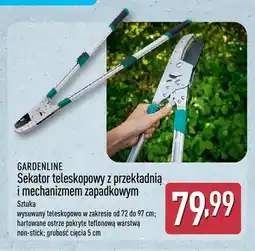 ALDI Sekator teleskopowy z przekładnią i mechanizmem zapadkowym Gardenline oferta