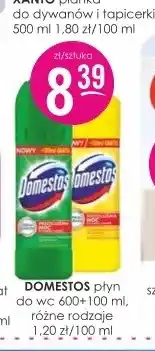 Jaśmin Płyn do WC Domestos oferta