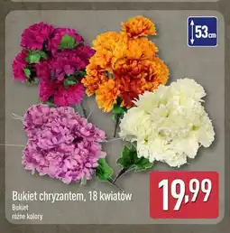 ALDI Bukiet chryzantem 18 kwiatów oferta