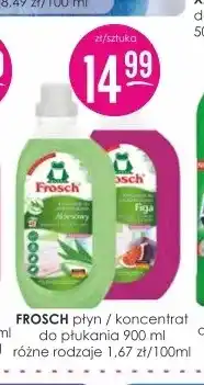 Jaśmin Płyn do płukania Frosch oferta