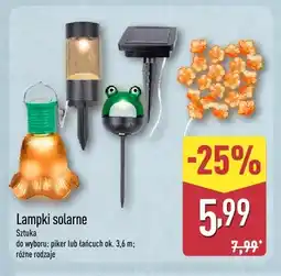 ALDI Lampki solarne piker oferta