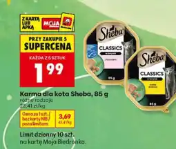 Biedronka Karma dla kota Sheba oferta
