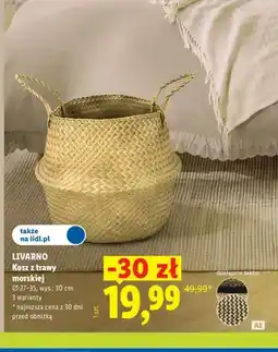Lidl Kosz z trawy morskiej Livarno oferta