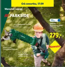 Lidl Akumulatorowy sekator teleskopowy Parkside oferta