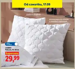 Lidl Poduszka 70x80 cm Livarno oferta