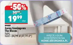 Biedronka Guma Spokey oferta