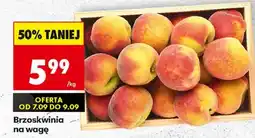 Biedronka Brzoskwinia oferta