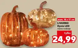 Kaufland LIVARNO Dynia LED oferta