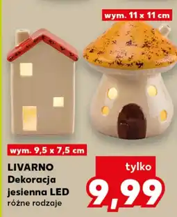 Kaufland LIVARNO Dekoracja jesienna LED oferta