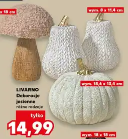 Kaufland LIVARNO Dekoracje jesiene różne rodzaje oferta