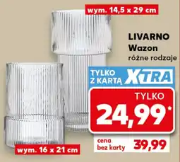 Kaufland Wazon LIVARNO oferta