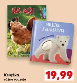 Kaufland Książka różne rodzaje oferta