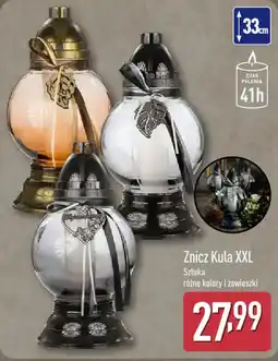 ALDI Znicz Kula XXL oferta