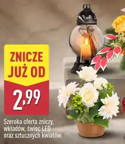 ALDI Znicze oferta