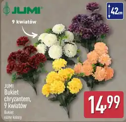ALDI JUMI Bukiet chryzantem oferta