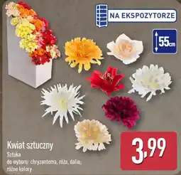 ALDI Kwiat sztuczny Sztuka oferta