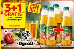 Polomarket Sok 100% Jabłkowy Zaczarowany Ogród oferta