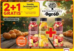 Polomarket Smoothie Zaczarowany Ogród oferta