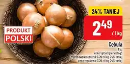 Polomarket Cebula oferta