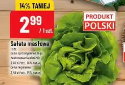 Polomarket Sałata masłowa oferta