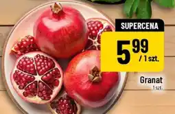 Polomarket Granat oferta
