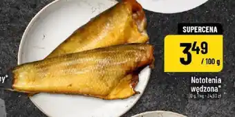 Polomarket Nototenia wędzona oferta