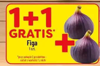 Polomarket Figa oferta