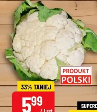 Polomarket Kalafior oferta