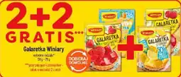 Polomarket Galaretki Winiary oferta
