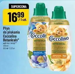 Polomarket Płyn do płukania Coccolino Botanicals* oferta