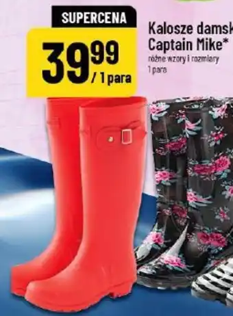 Polomarket Kalosze damskie Captain Mike oferta